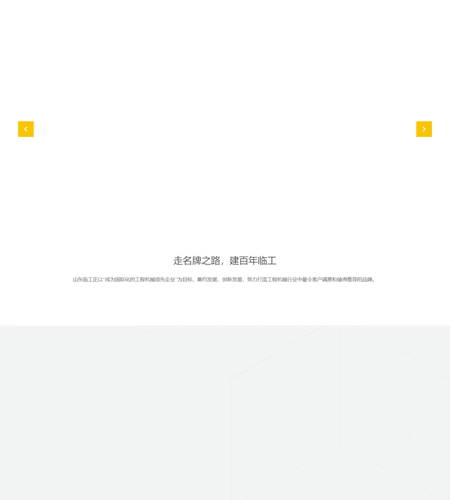 官网首页截图
