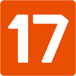 17独立站 图标