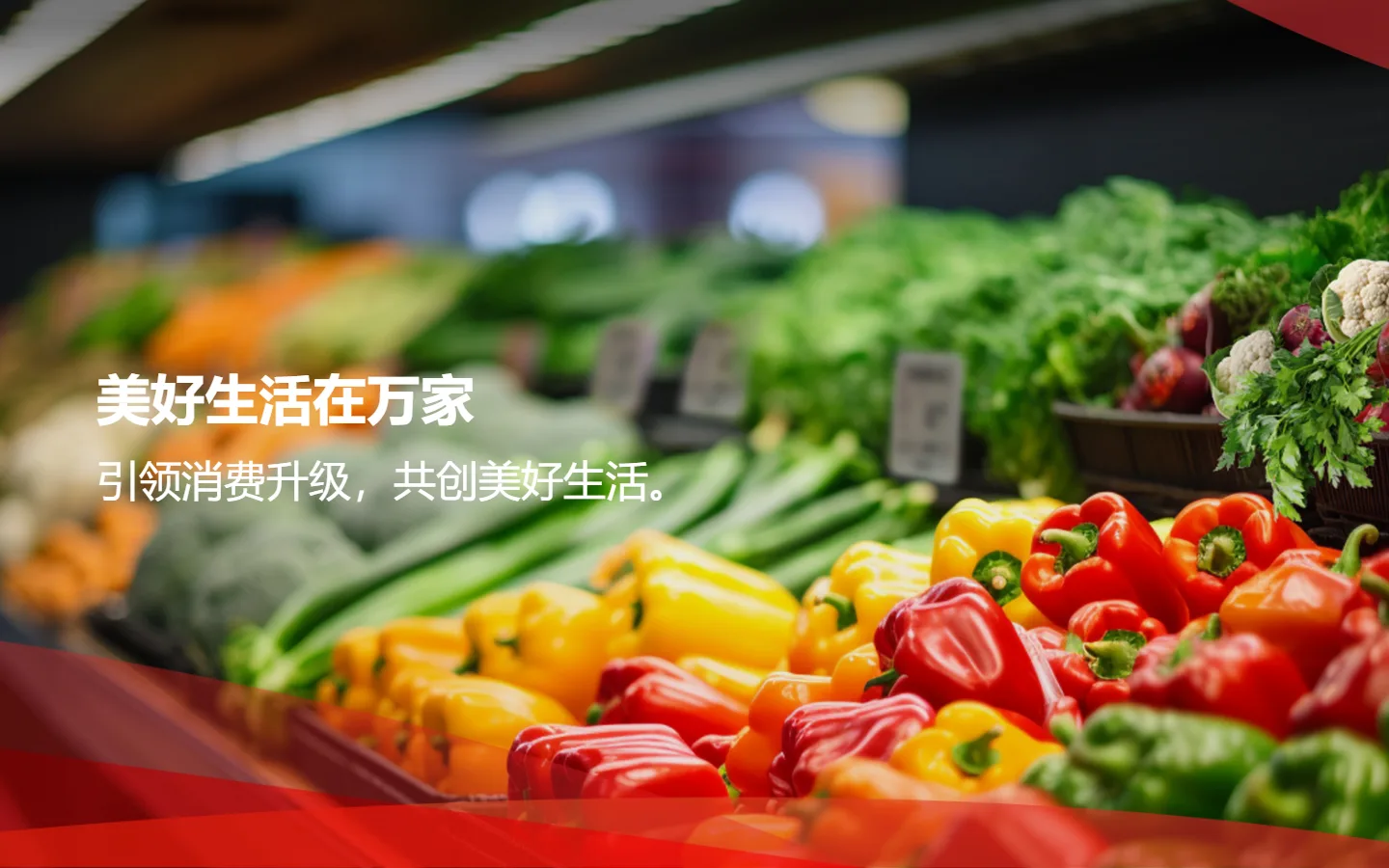 官网首页截图