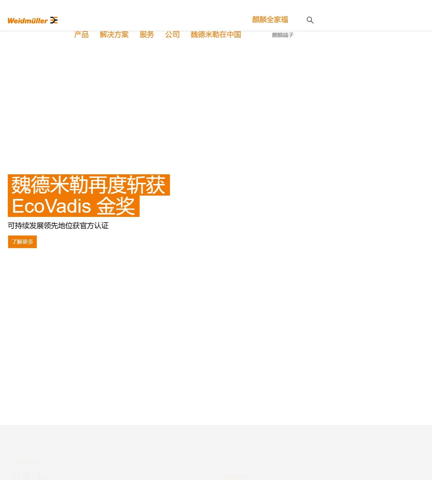 官网首页截图