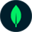 MongoDB Atlas 图标