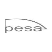 PESA 图标