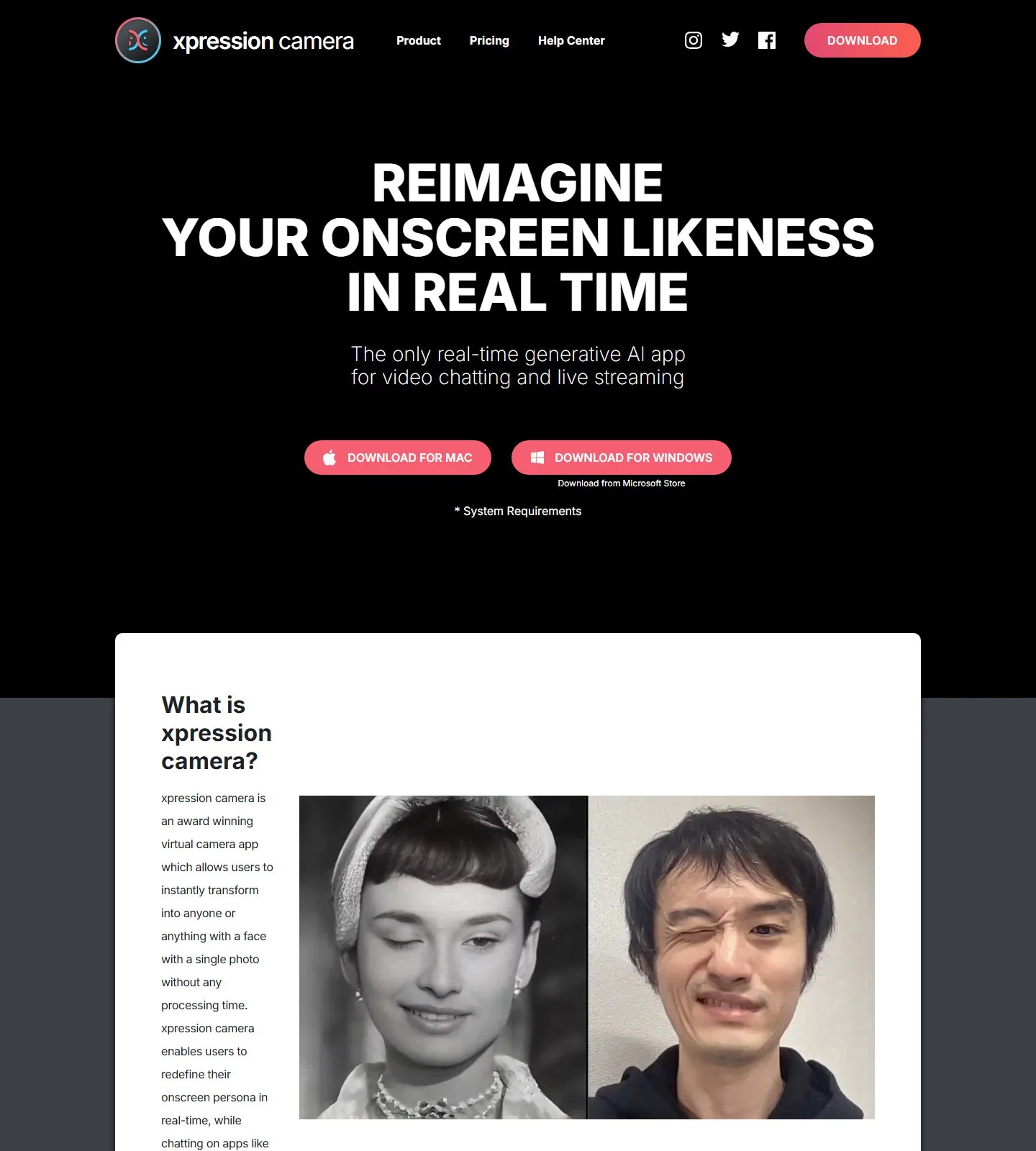 官网首页截图