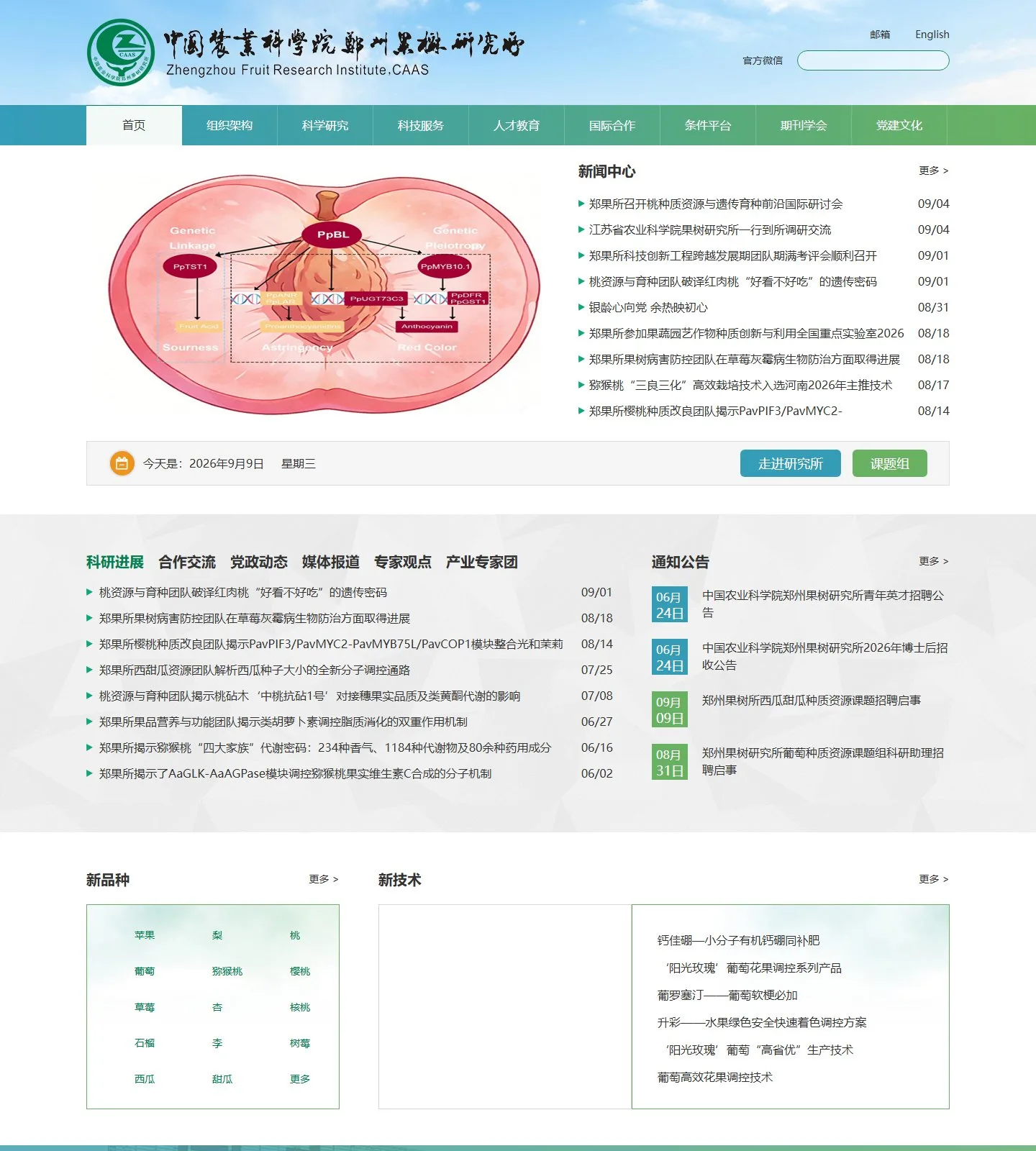 官网首页截图