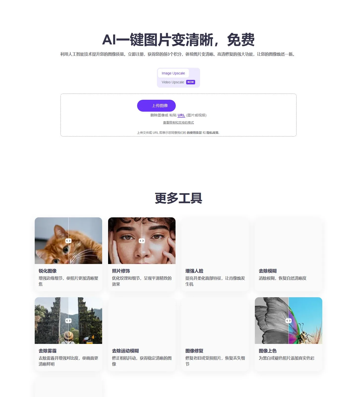 官网首页截图