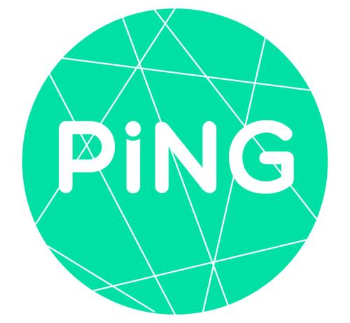 ping.pe 图标