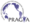 PRAGMA 图标