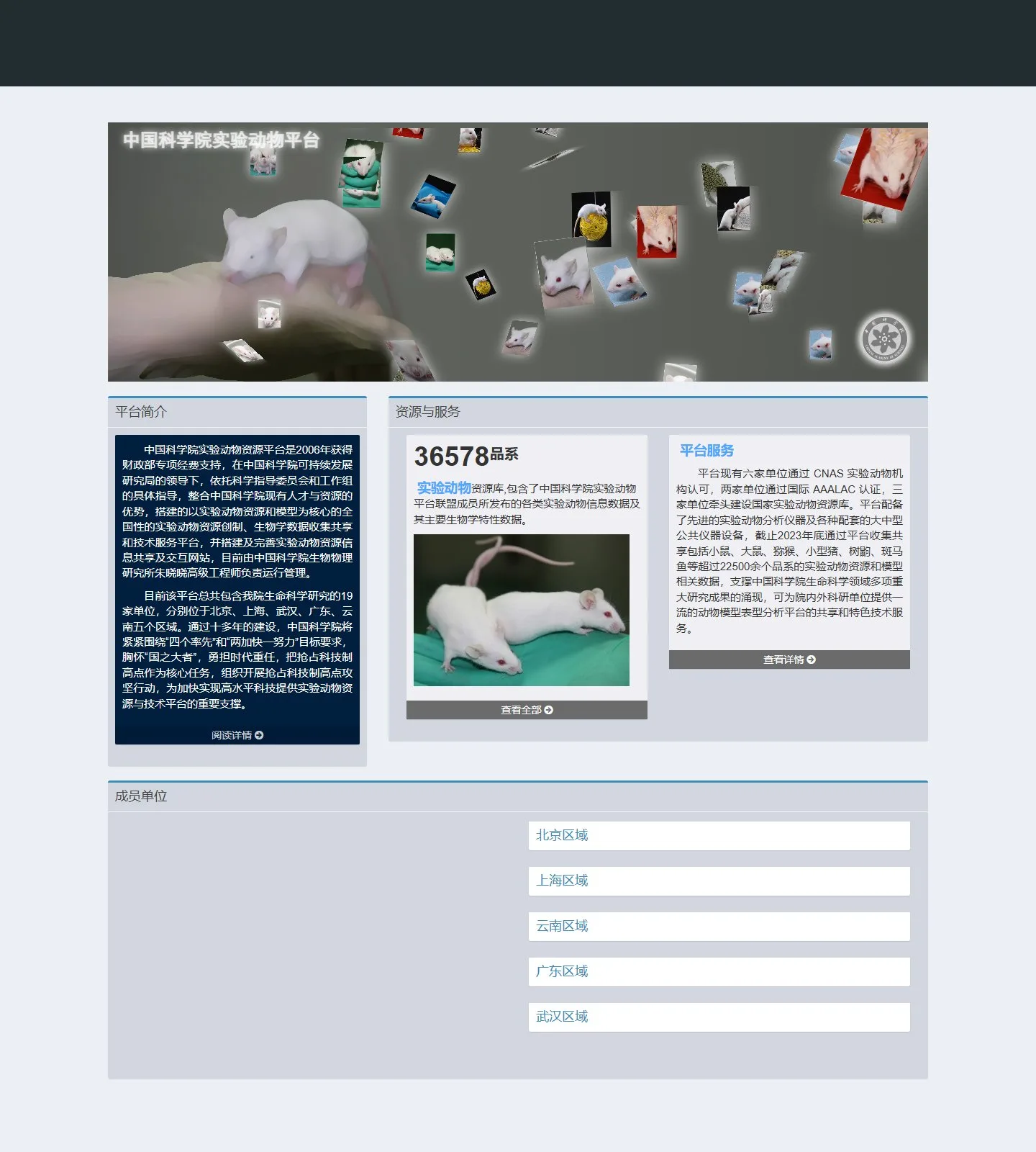 官网首页截图