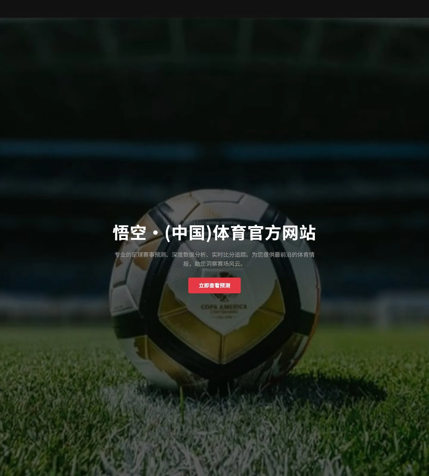 官网首页截图