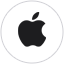 Apple 图标