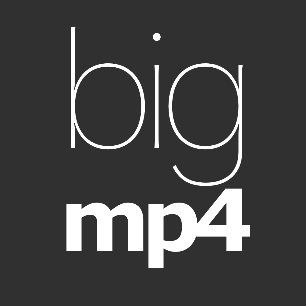bigmp4 图标