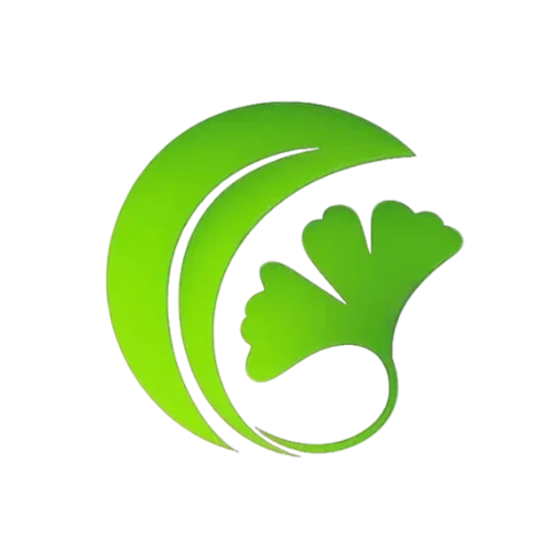 白果AI论文助手 图标
